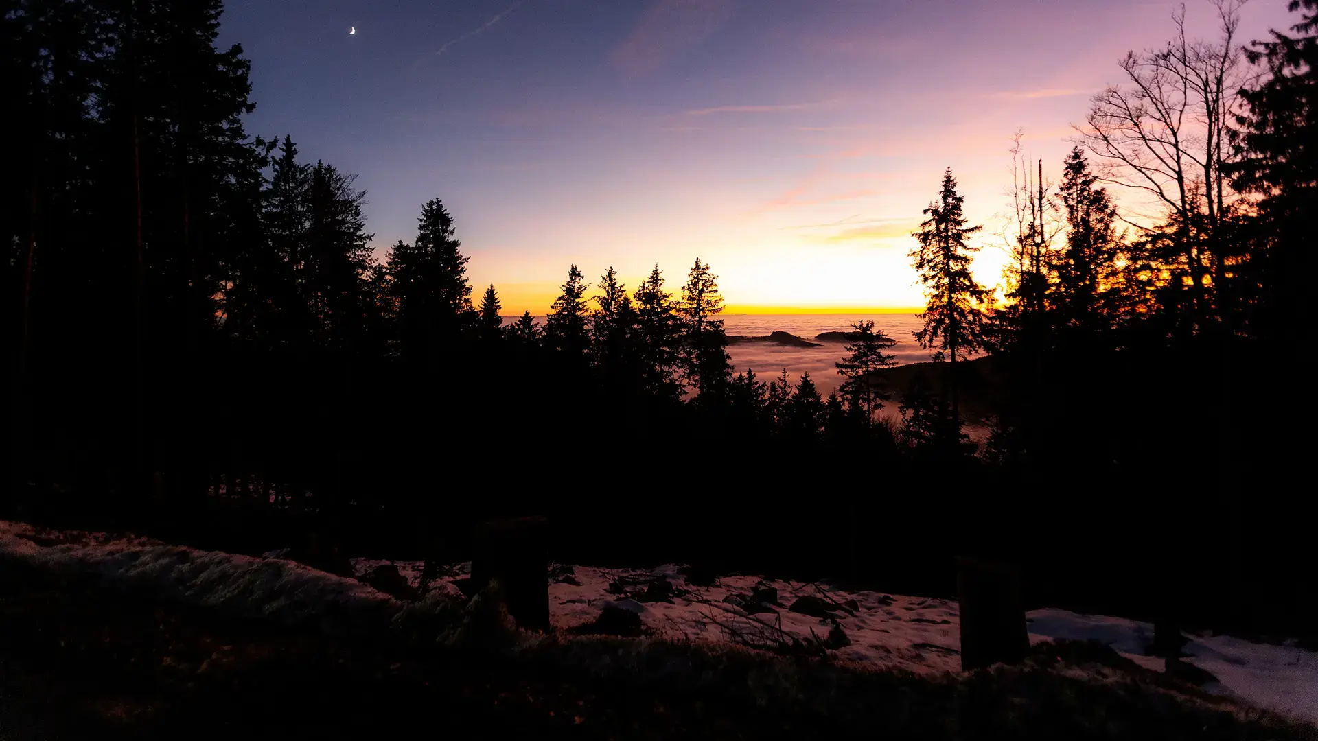 Blick auf das Böhmische Meer: G-Klasse Sourcing-Etappe am Aussichtsturm Moldaublick